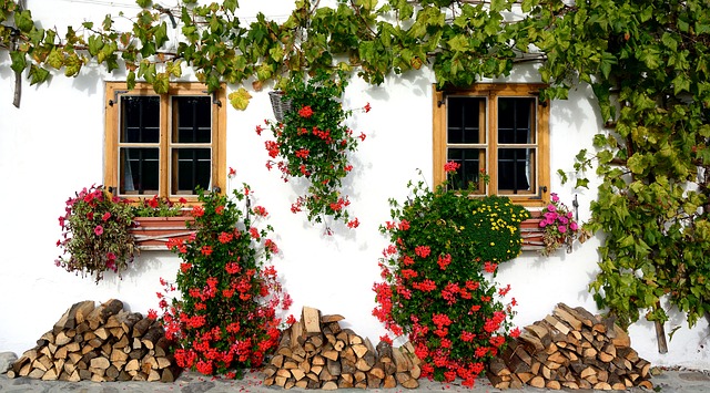 okna staršího domu s květinami.jpg